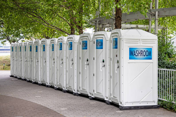 Best Affordable portable toilet rental  in Swartz Creek, MI