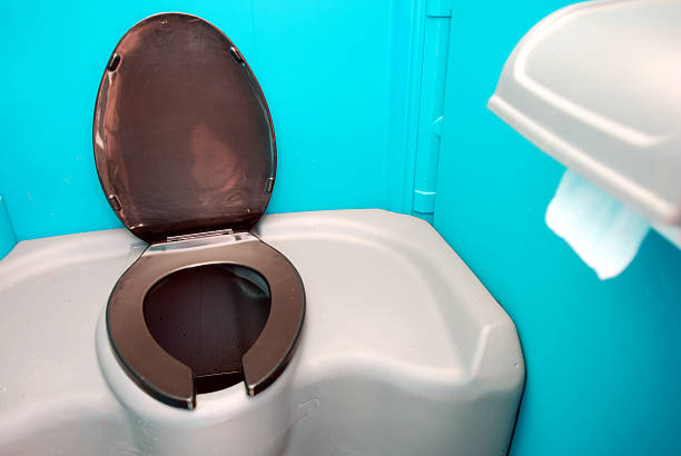 Best Affordable portable toilet rental  in Swartz Creek, MI